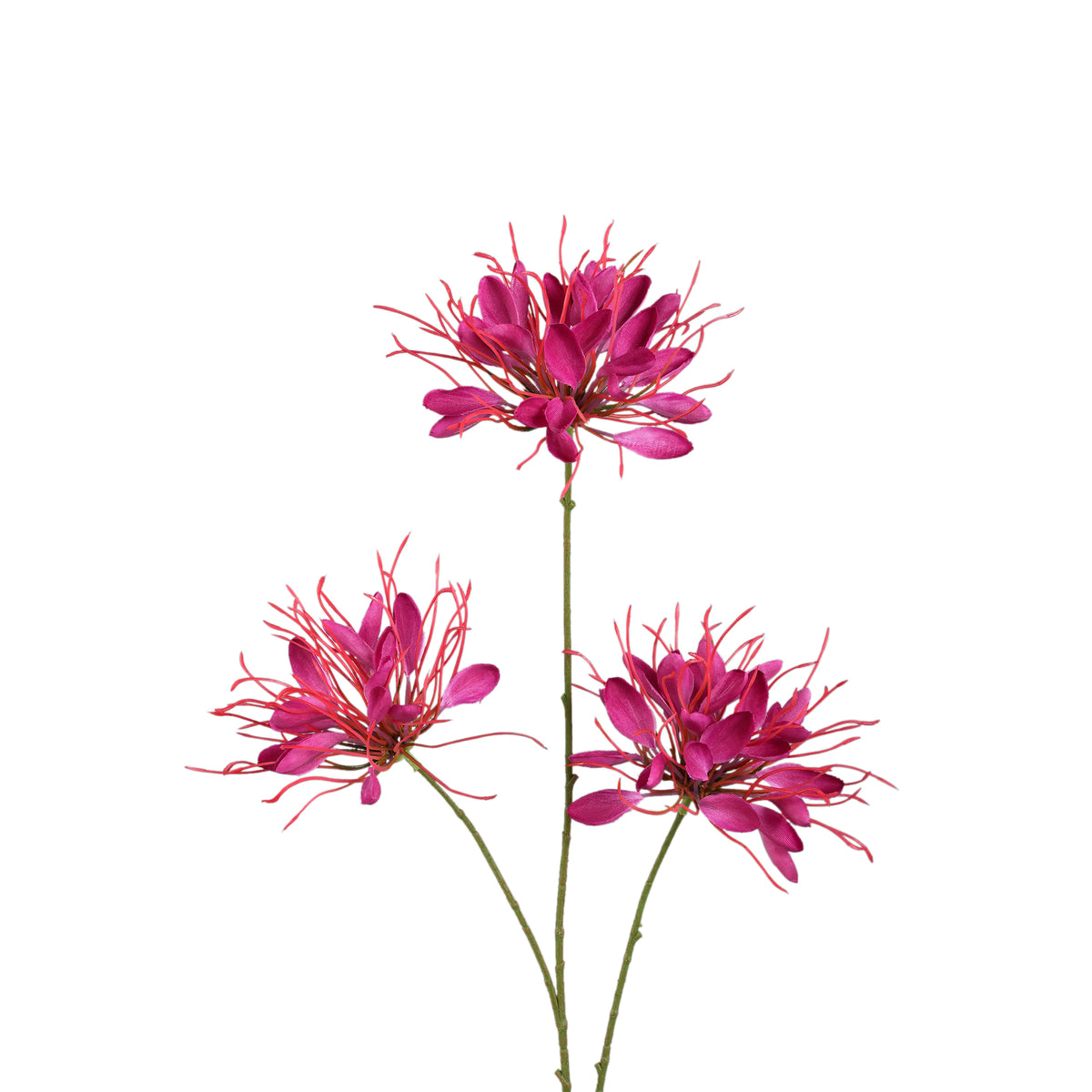 Gartenblume - Burgunderrote Spinnenblume Spray, Polyesterstoff, Halbhändig gefertigt | PTMD