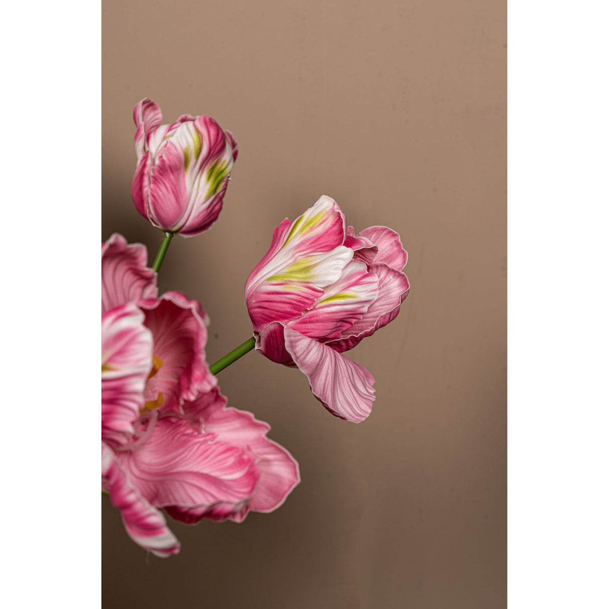 Tulip Flower - Red Parrot Tulip with Leaves, Plastic, Semi-Handmade | PTMD