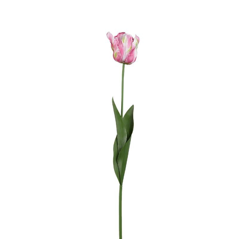 Tulip Flower - Red Parrot Tulip with Leaves, Plastic, Semi-Handmade | PTMD