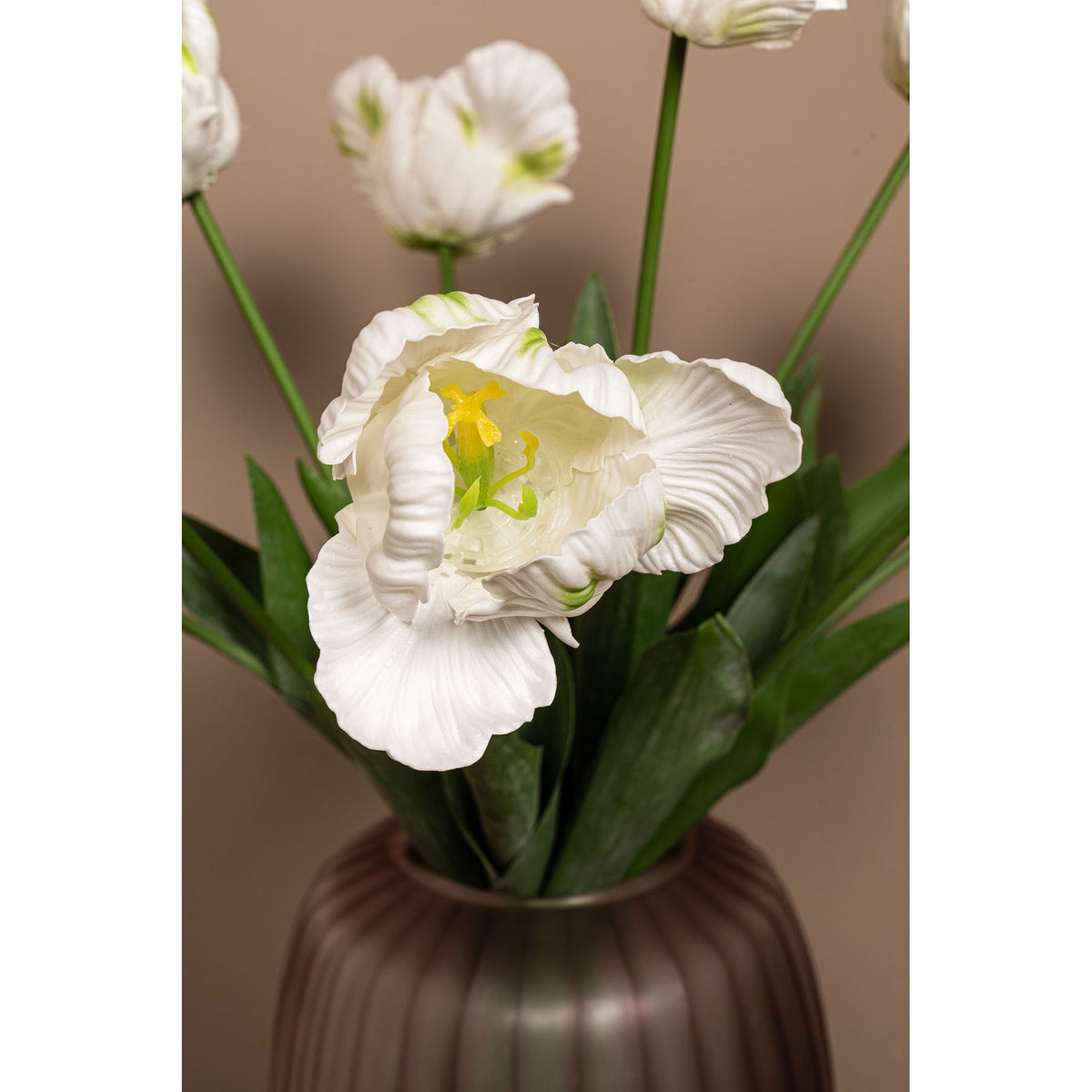Tulpeblume - Weiße Papageien-Tulpe mit Blättern, Kunststoff, Halbhändig gefertigt | PTMD