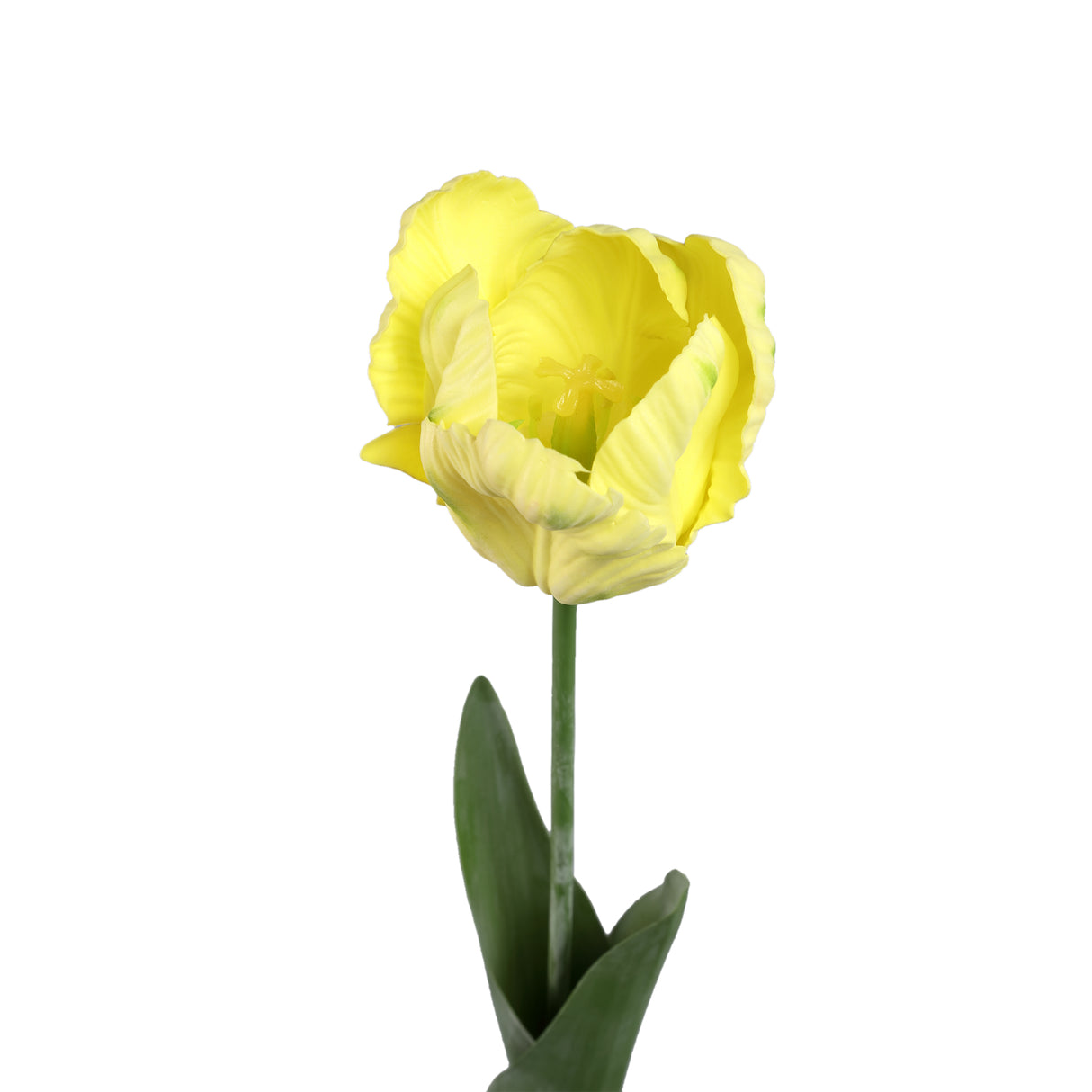 Tulpeblume - Gelbe Papageien-Tulpe mit Blättern, Kunststoff, Halbhändig gefertigt | PTMD