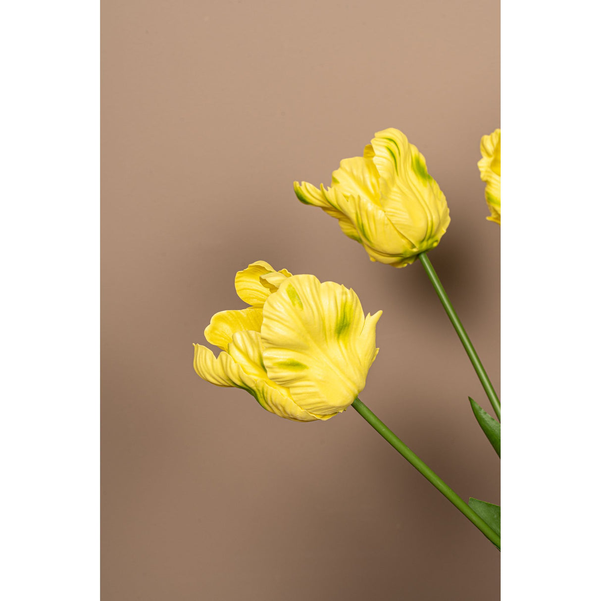 Tulpeblume - Gelbe Papageien-Tulpe mit Blättern, Kunststoff, Halbhändig gefertigt | PTMD