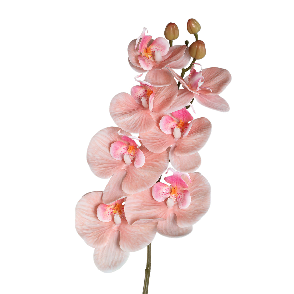 Orchideenblume - Pfirsich Phalaenopsis Spray mit Blättern, Metall, Kunststoff | PTMD