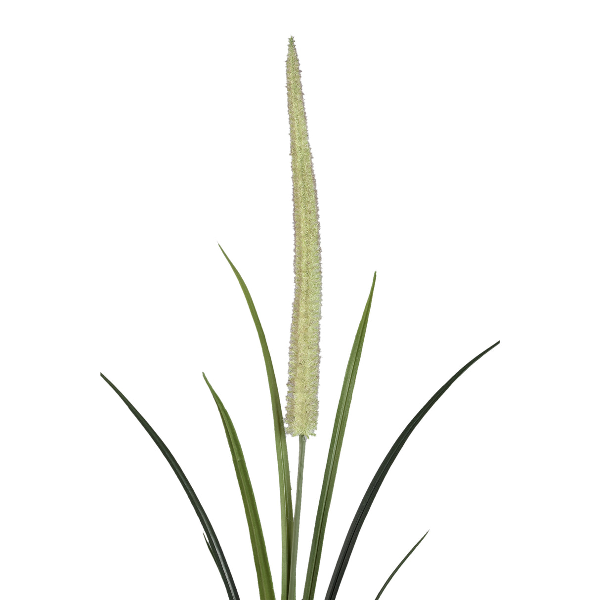 Gras Plant - Green Cattail Grass Spray made of Plastic | PTMD