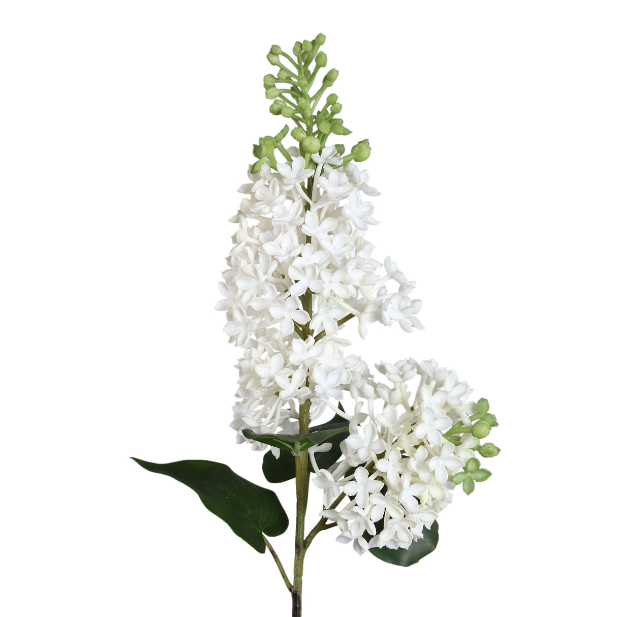 Garden flower - White Lilac Spray, Plastic | PTMD