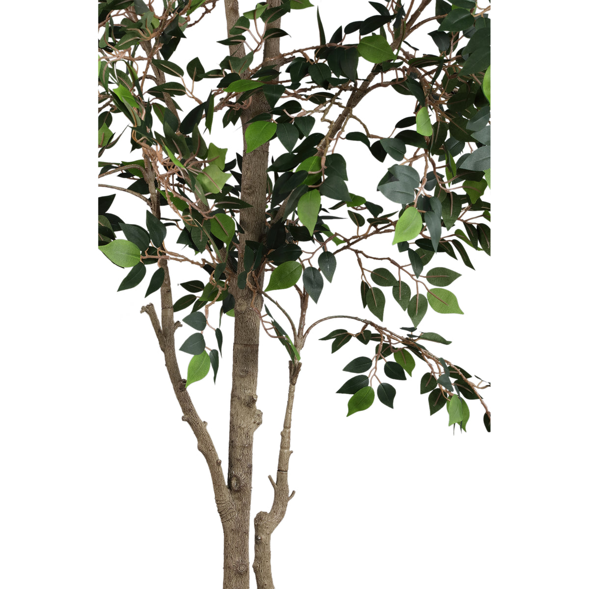 Baumgrün mit Ficus Microcarpa, im Kunststofftopf und aus Kunststoff und Polyester, L | PTMD