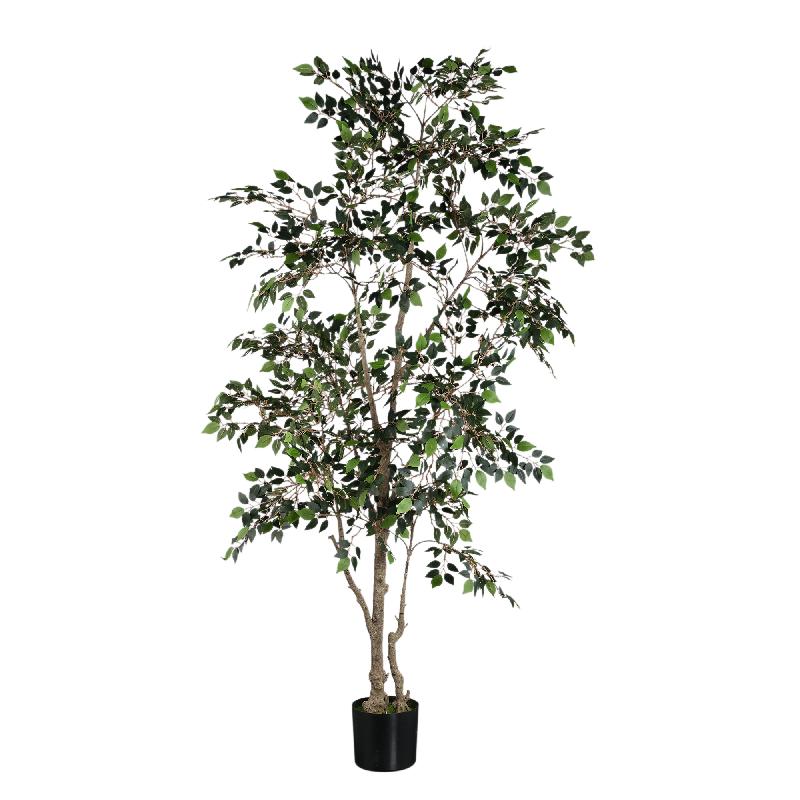 Baumgrün mit Ficus Microcarpa, im Kunststofftopf und aus Kunststoff und Polyester, L | PTMD