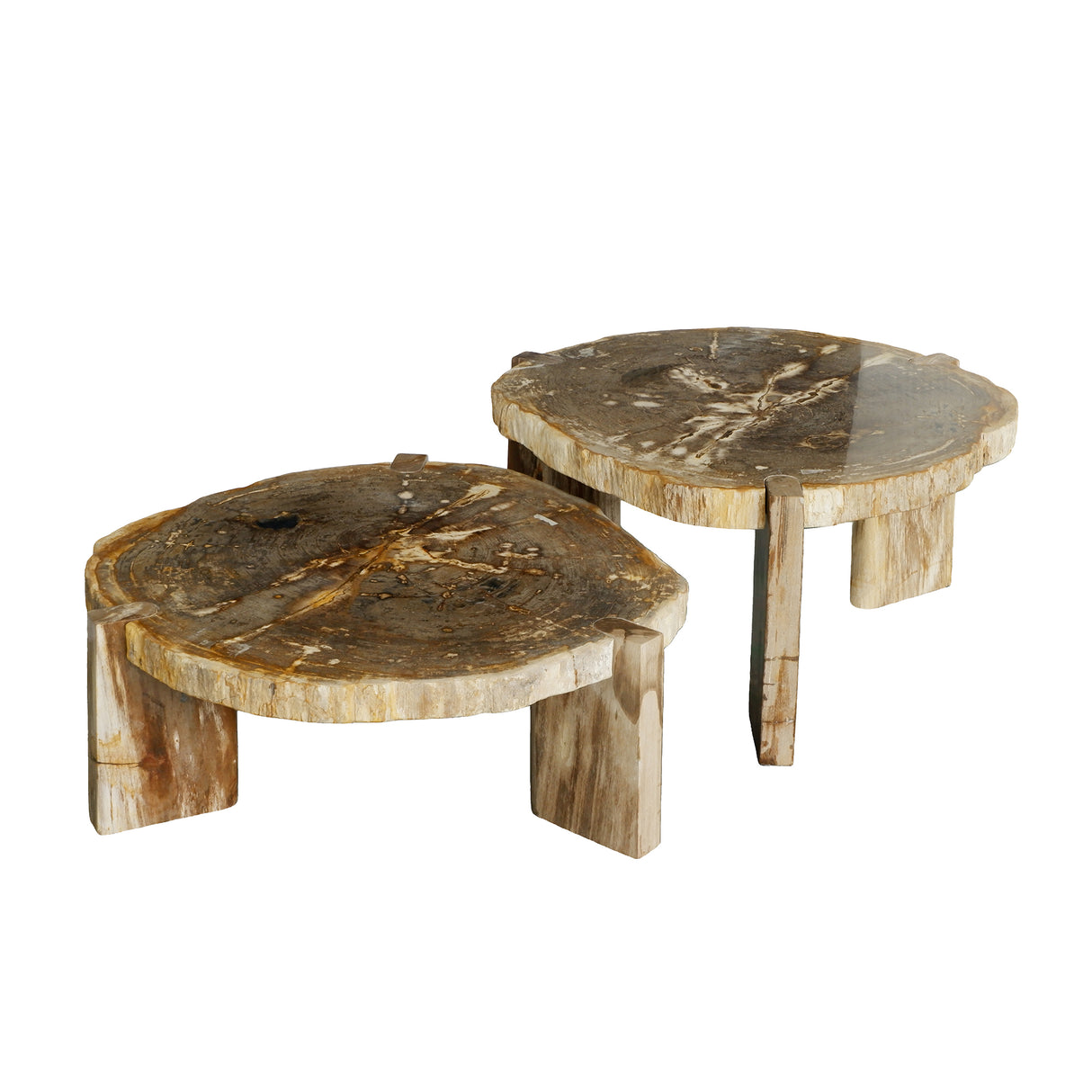 Couchtisch – Versteinertes Holz, Dreibein Design, Organische Form, Natur, Niedrig – Kayo | PTMD