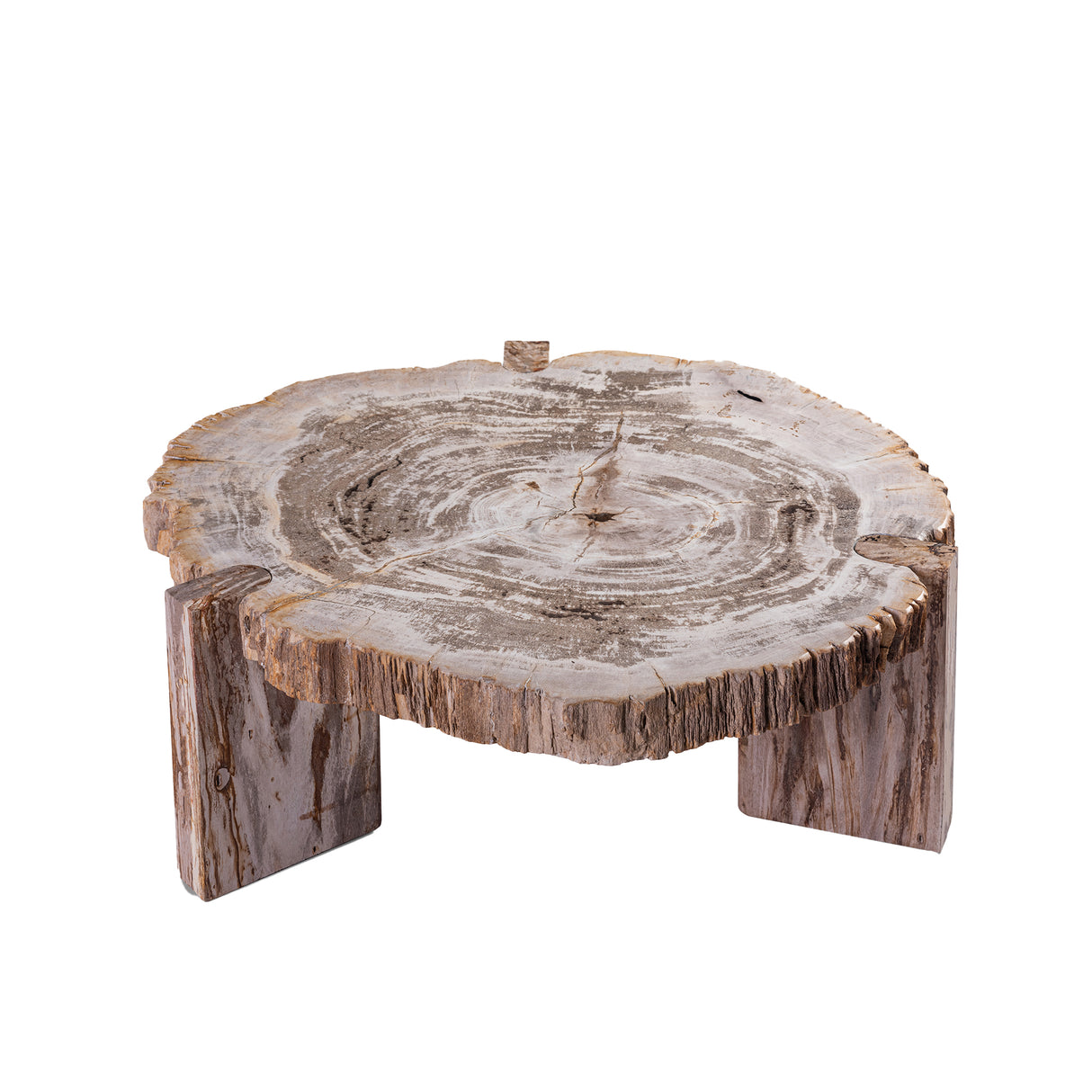 Couchtisch – Versteinertes Holz, Dreibein Design, Organische Form, Natur, Niedrig – Kayo | PTMD