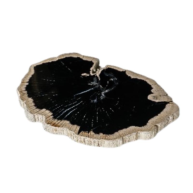 Tablett – Versteinertes Holz, Organische Scheibenform, Schwarze Oberfläche – Dalva | PTMD