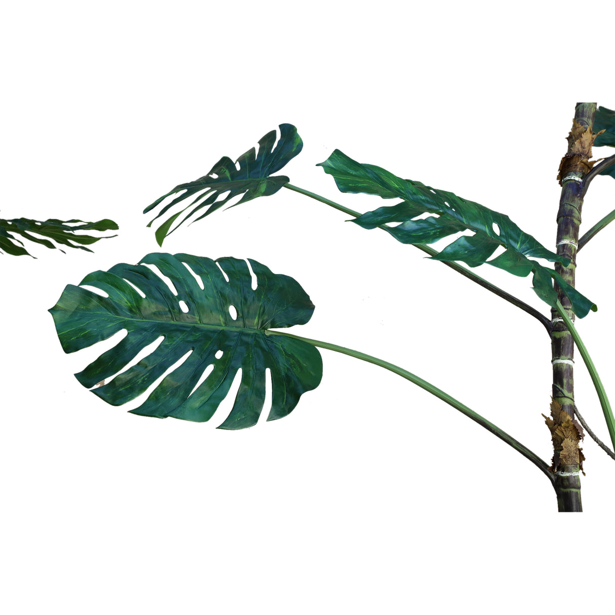 Tree green with Monstera leaf plant, tall and made of polyester, 3XL | PTMD