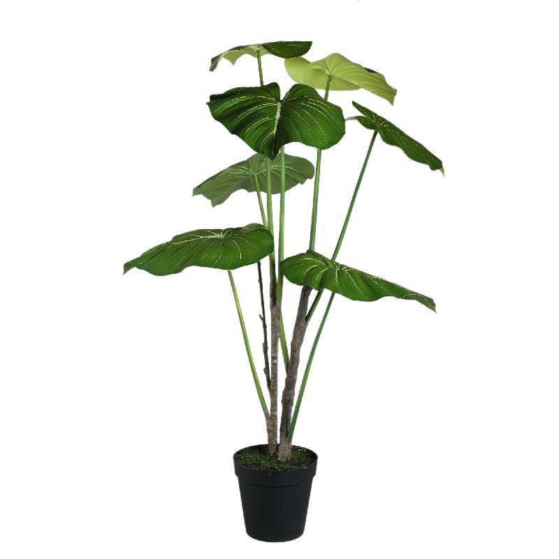Blätterpflanze – Grüne Monstera-Blattpflanze im schwarzen Topf aus Kunststoff & PE-Kunststoff, L | PTMD