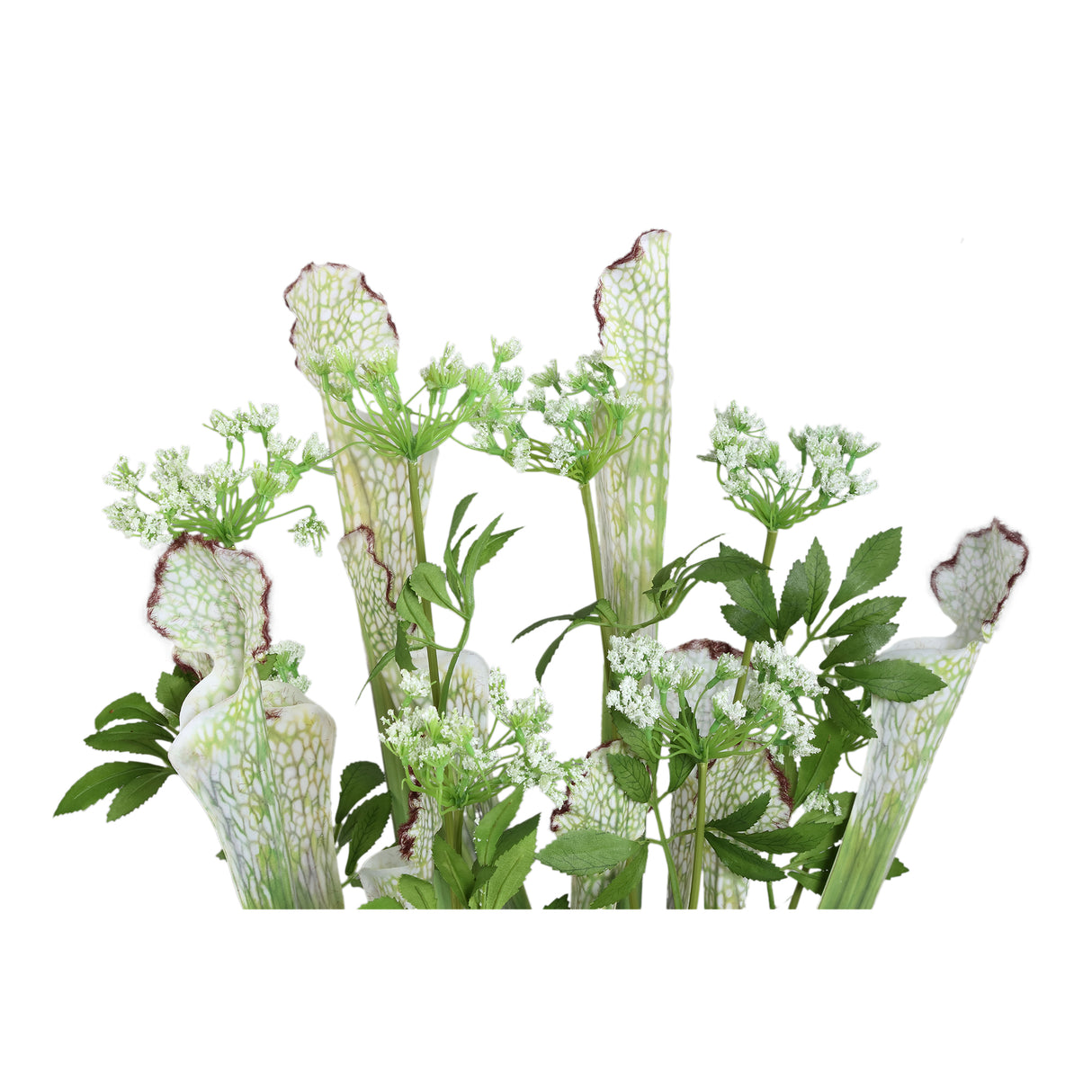 Blätterpflanze – Grüne Ficus-Pflanze im Glasgefäß aus Polyestergewebe & Glas, M | PTMD