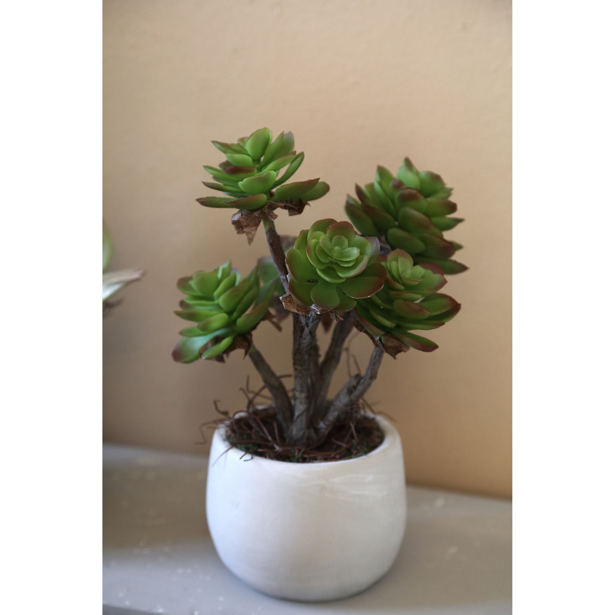 Artificial Plant - Dark Green Aeonium, Cement Pot, Plastic – M | PTMD