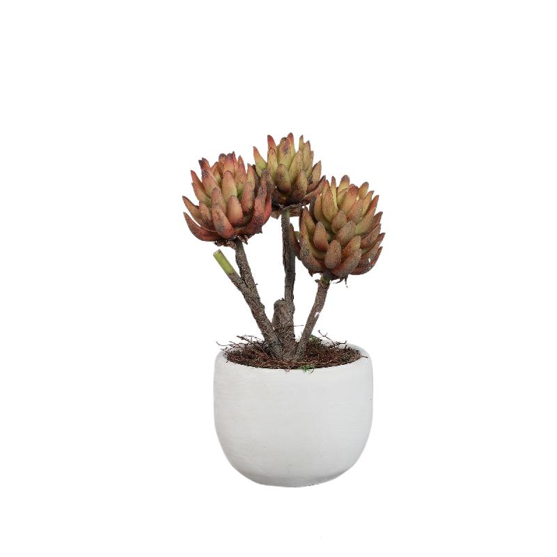 Artificial Plant - Bronze Echeveria, Cement Pot, Plastic | PTMD