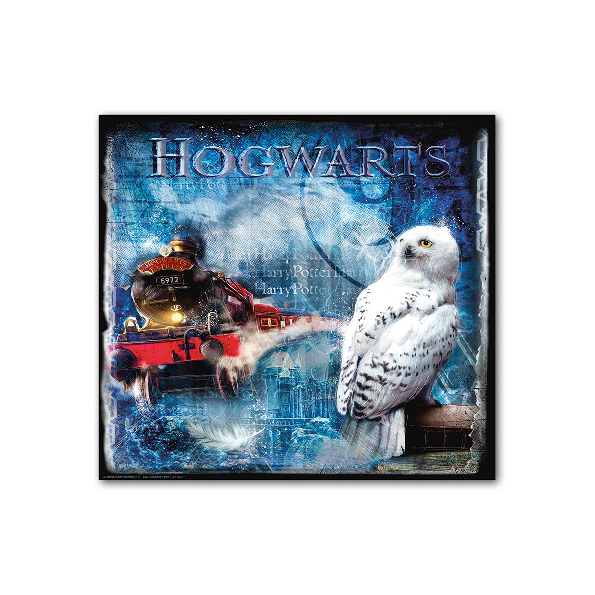 Wandbild – Holzrahmen Design, Leinwand Struktur, Eulen Motiv - Hogwarts Hedwig | Gilde