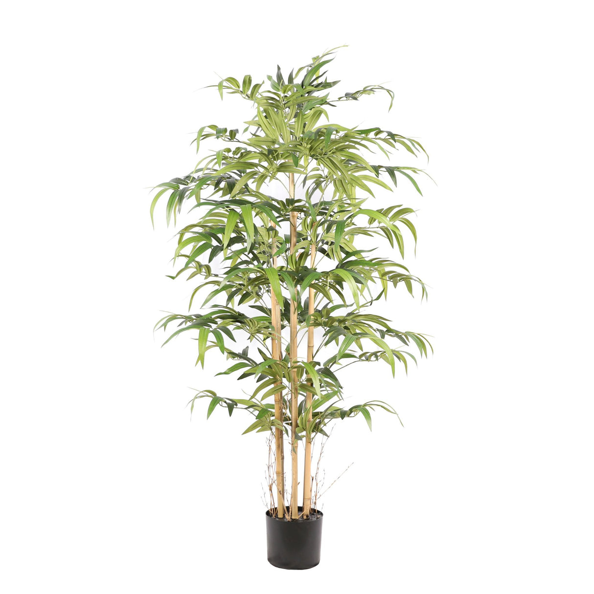 Kunstpflanze – Kunststoffmaterial, Japanisches Design, Bambusstängel, 160 cm - Bamboe Japanese | NeverLeafs