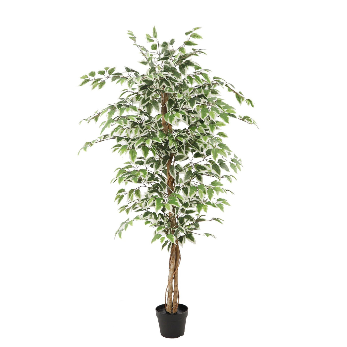 Kunstpflanze – Kunststoffmaterial, Natürliches Design, Realistische Blätter, 160 cm - Ficus | NeverLeafs