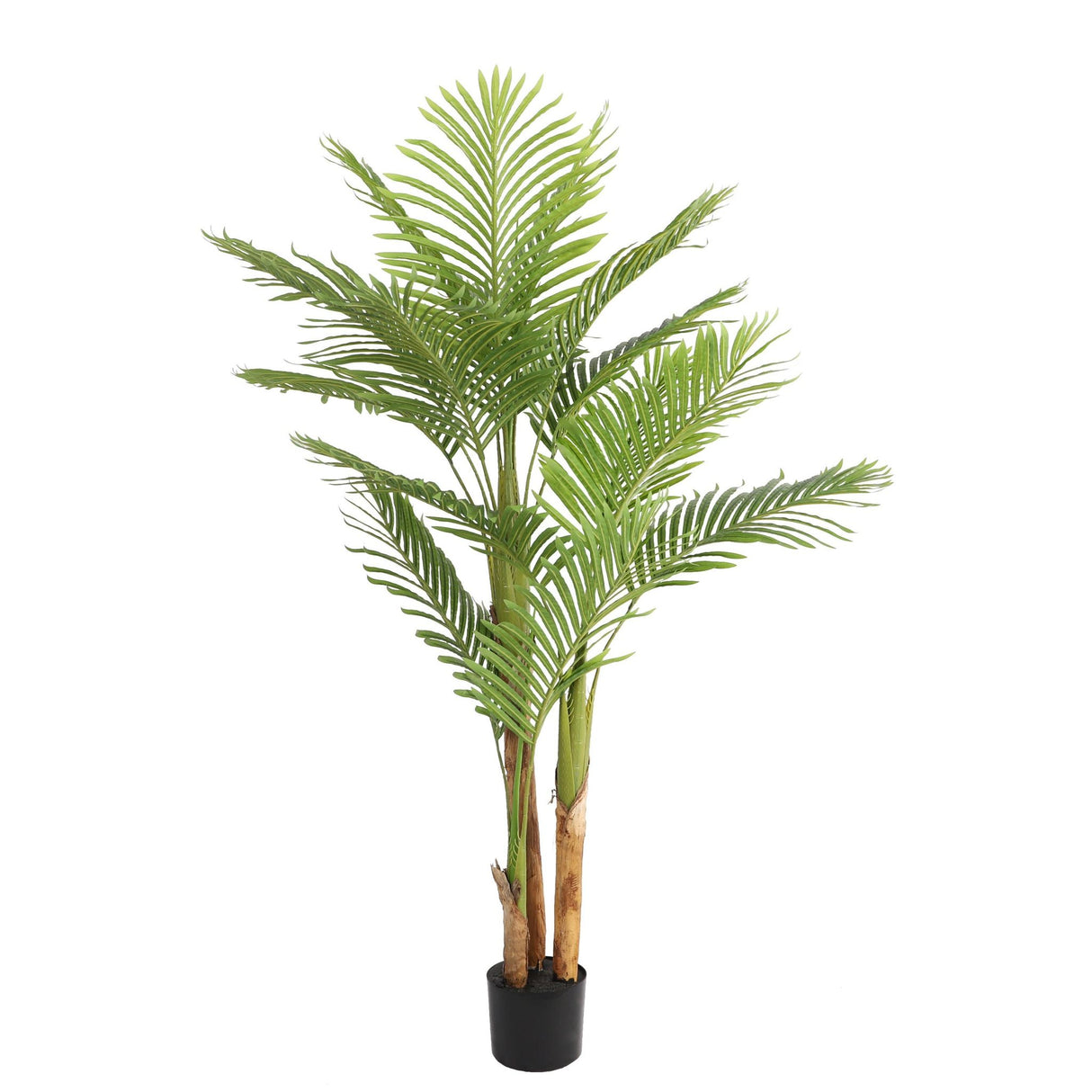 Kunstpalme – Kunststoffmaterial, Tropisches Design, Palmblätter, 170 cm - Kentia Palm | NeverLeafs