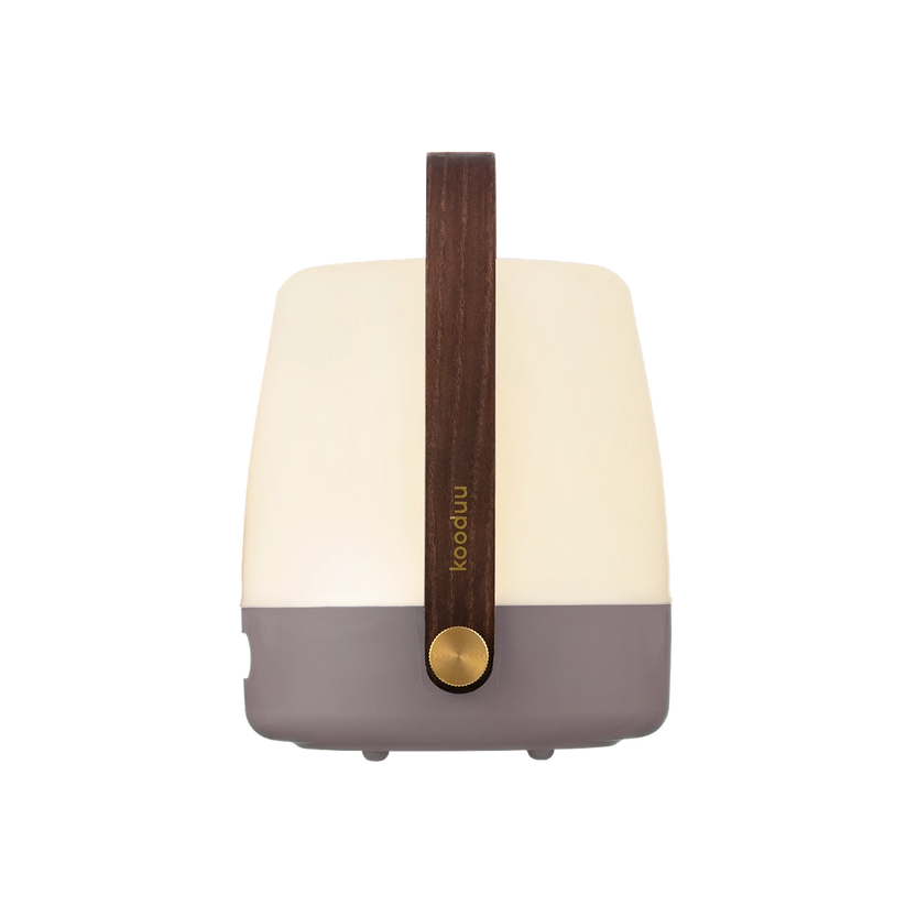 Earth LED Lamp with Dimmable Warm White Lighting, Portable Design, and Wooden Handle – Lite-Up | Kooduu