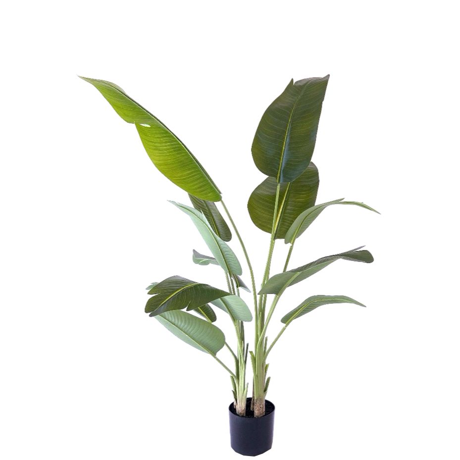 Kunstpflanze – Kunststoffmaterial, Tropisches Design, Real-Touch-Blätter - Strelitzia | NeverLeafs