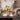 Vasen mit Blumen