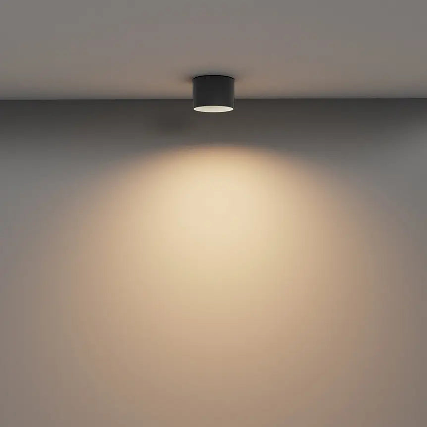 Ceiling Light Black Aluminum Housing Warm White – Vega | Maytoni