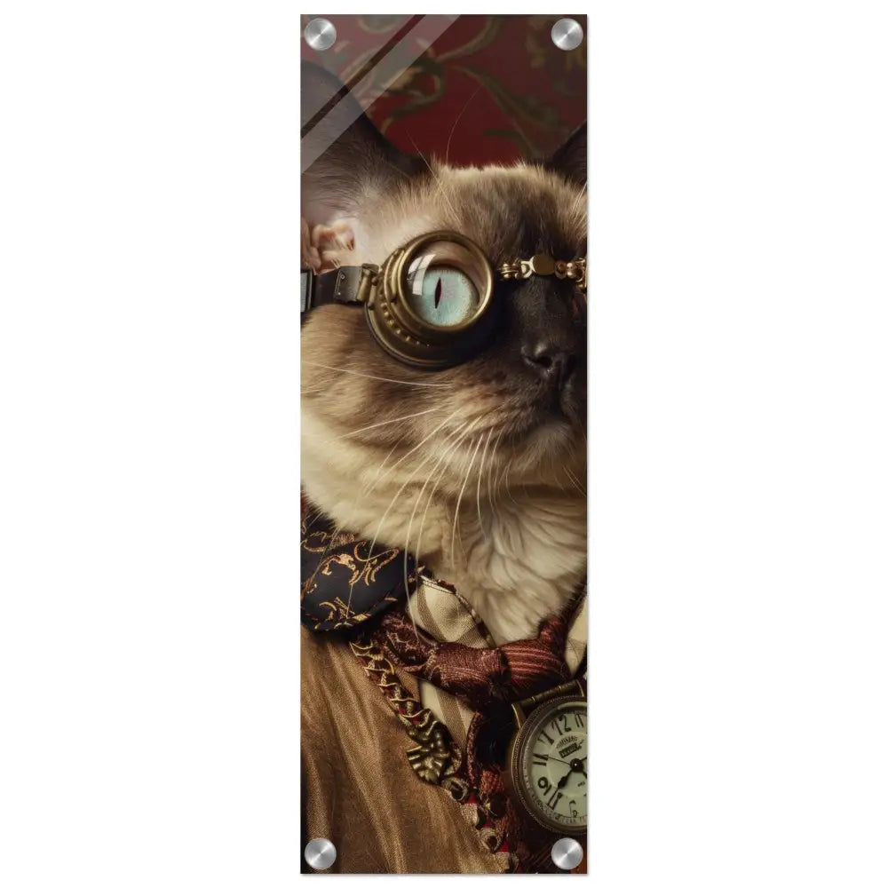 School Poster - Tonkinese Cat, Steampunk Outfit, Plexiglass Print | St Tropez Art