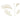 Farnpflanzencreme Cycas Farnspray von PTMD - Esszett Luxury | Stilvolles Wohnen mit Charakter
