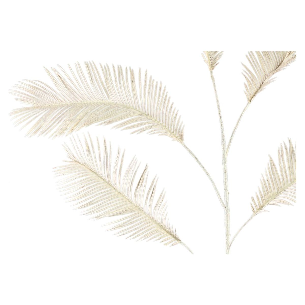 Farnpflanzencreme Cycas Farnspray von PTMD - Esszett Luxury | Stilvolles Wohnen mit Charakter