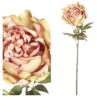 Kunstblume - Pfingstrose creme - rosa von PTMD - Esszett Luxury | Stilvolles Wohnen mit Charakter