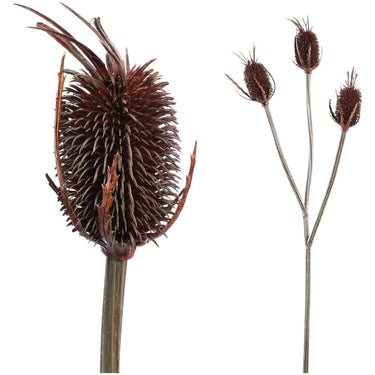 Kunstzweig - braune Banksia x3 von PTMD - Esszett Luxury | Stilvolles Wohnen mit Charakter