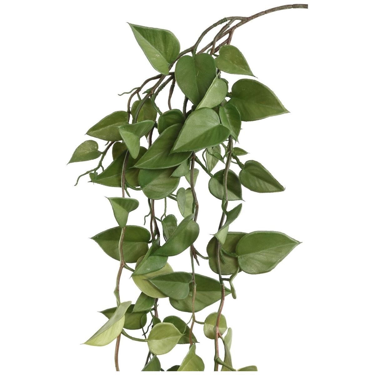 Kunstzweig - Philodendron hängend von PTMD - Esszett Luxury | Stilvolles Wohnen mit Charakter