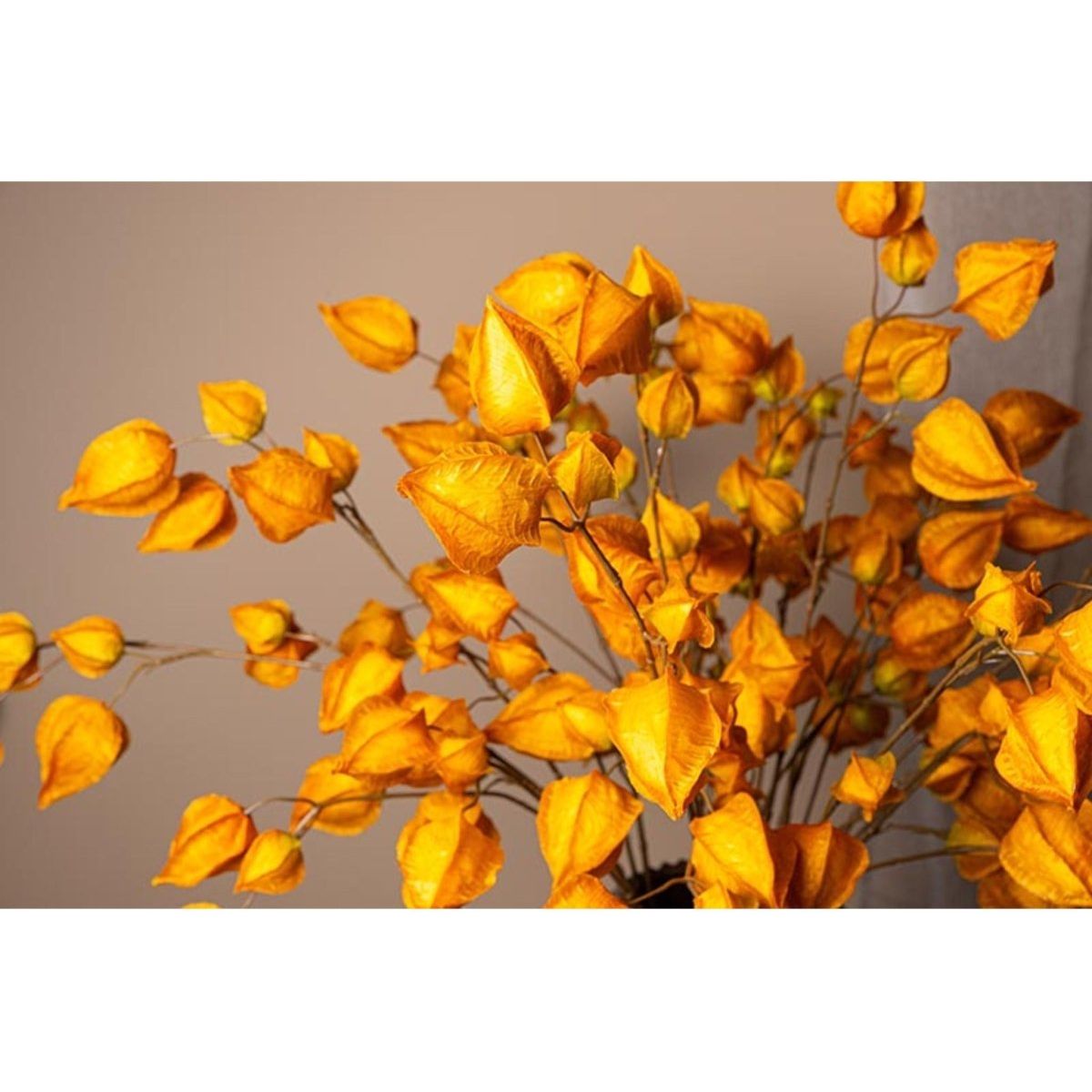 Kunstzweig - Physalis Orange von PTMD - Esszett Luxury | Stilvolles Wohnen mit Charakter