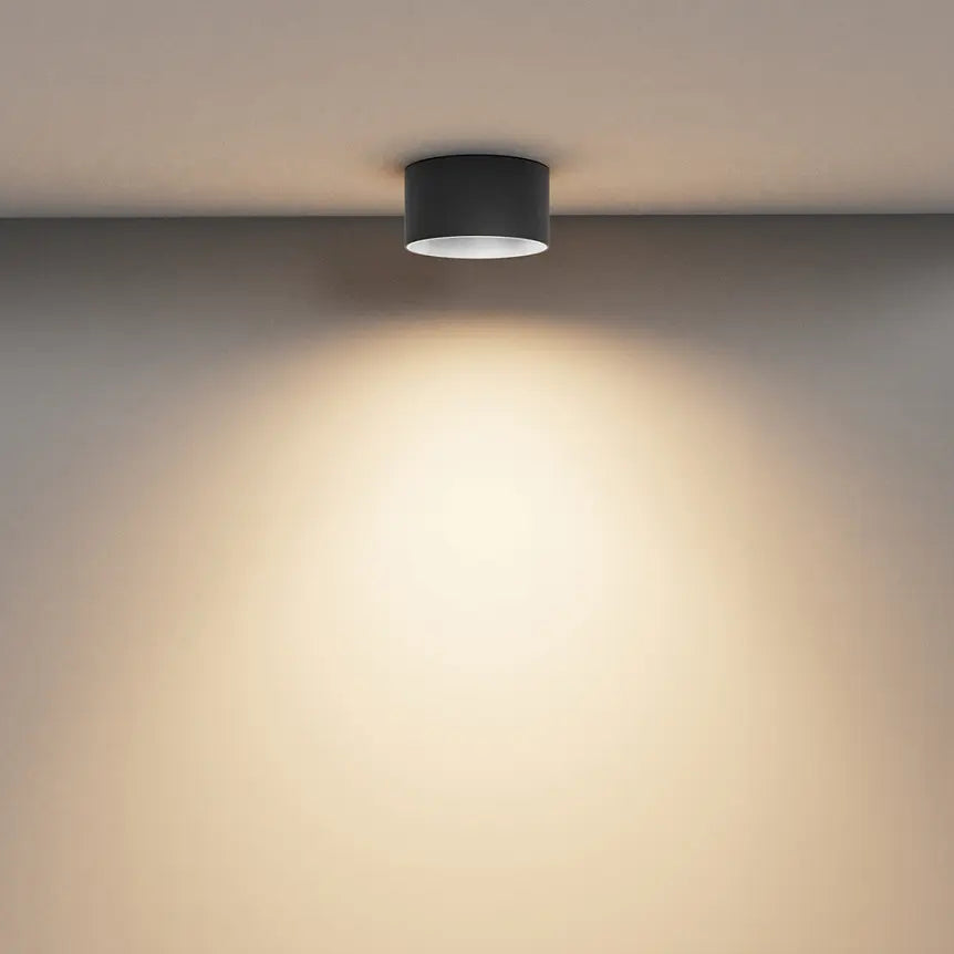 Ceiling light Black aluminum housing Warm white – Vega | Maytoni