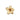Wanddeko - Mira Gold matt lili flower S (20 x 5.5 cm) von PTMD - Esszett Luxury | Stilvolles Wohnen mit Charakter