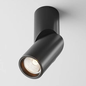 Deckenleuchte – Schwarze Optik, RA90 Farbwiedergabe, 38° Lichtkegel - Dafne | Maytoni