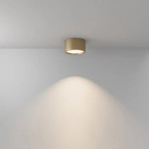 Deckenleuchte – Mattgoldenes Aluminium, IP44 Schutz, Warmweiß, Ø17,6 cm - Hydra | Maytoni