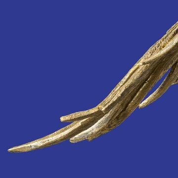 Ceiling Light – Sculptural Design, Exotic Animal Motif, Polyresin Construction, Golden Finish – Parrot Percy | WERNS