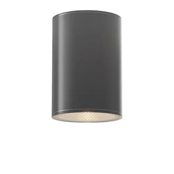 Graphite Metal Ceiling Light 12W LED IP65 1300lm 3000K – O306CL-L12GF | Maytoni