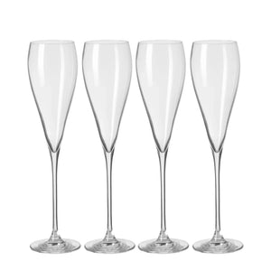 Champagnerglas – Klare Form, Feines Glas, Vielseitig - Premio | Fink Living