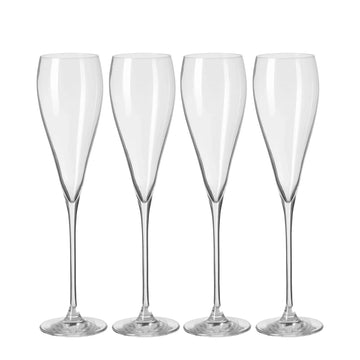 Champagnerglas – Klare Form, Feines Glas, Vielseitig - Premio | Fink Living