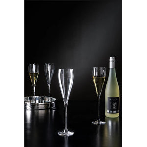 Champagnerglas – Klare Form, Feines Glas, Vielseitig - Premio | Fink Living