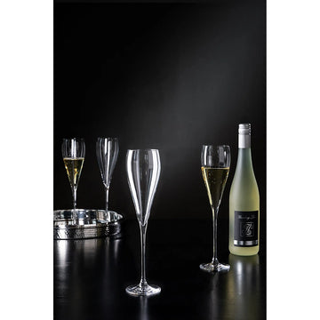 Champagnerglas – Klare Form, Feines Glas, Vielseitig - Premio | Fink Living