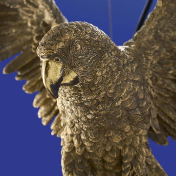 Ceiling Light – Sculptural Design, Exotic Animal Motif, Polyresin Construction, Golden Finish – Parrot Percy | WERNS