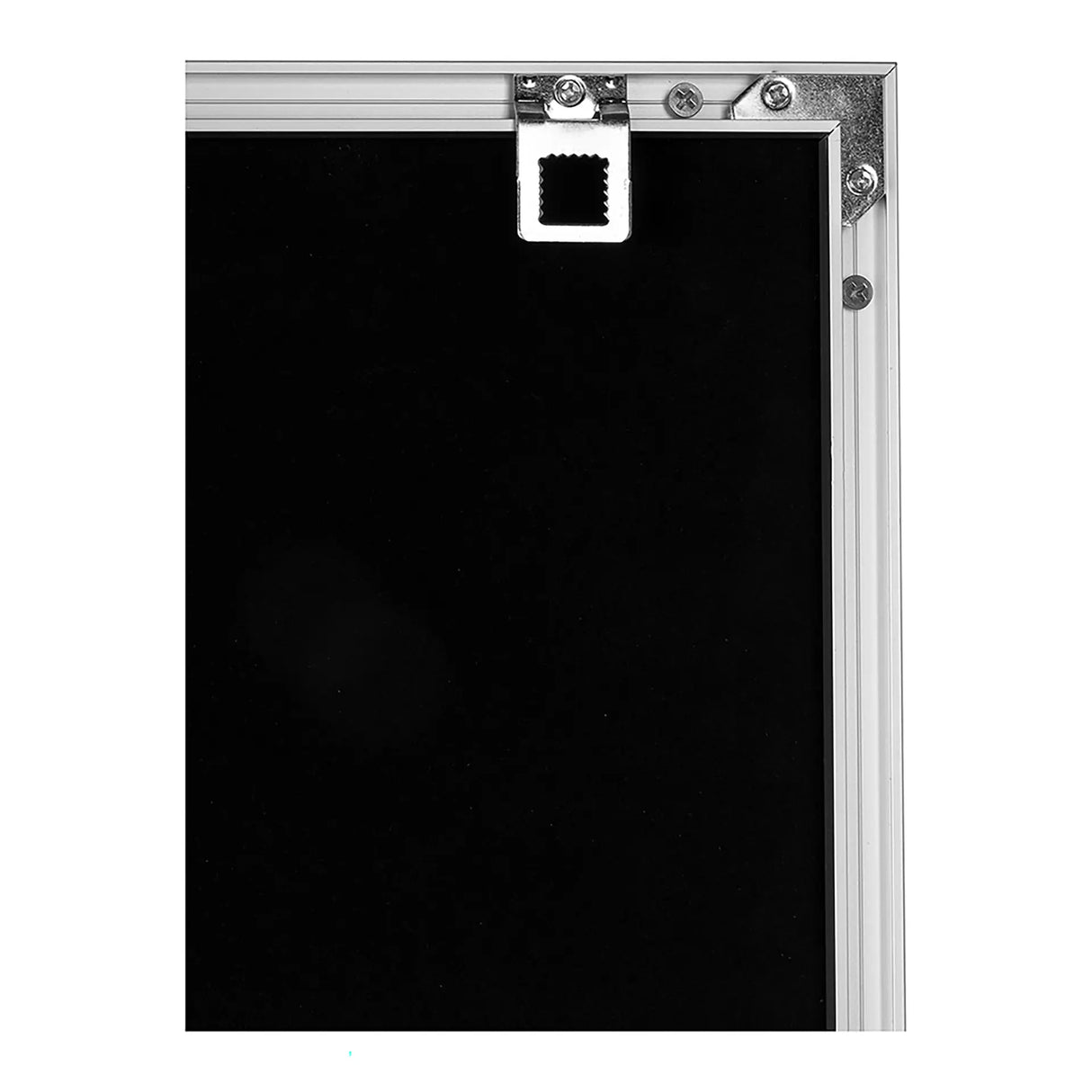 Wandbild – Botanischer Druck, Aluminiumrahmen, Stilvolles Interieur - Feo | Fink Living