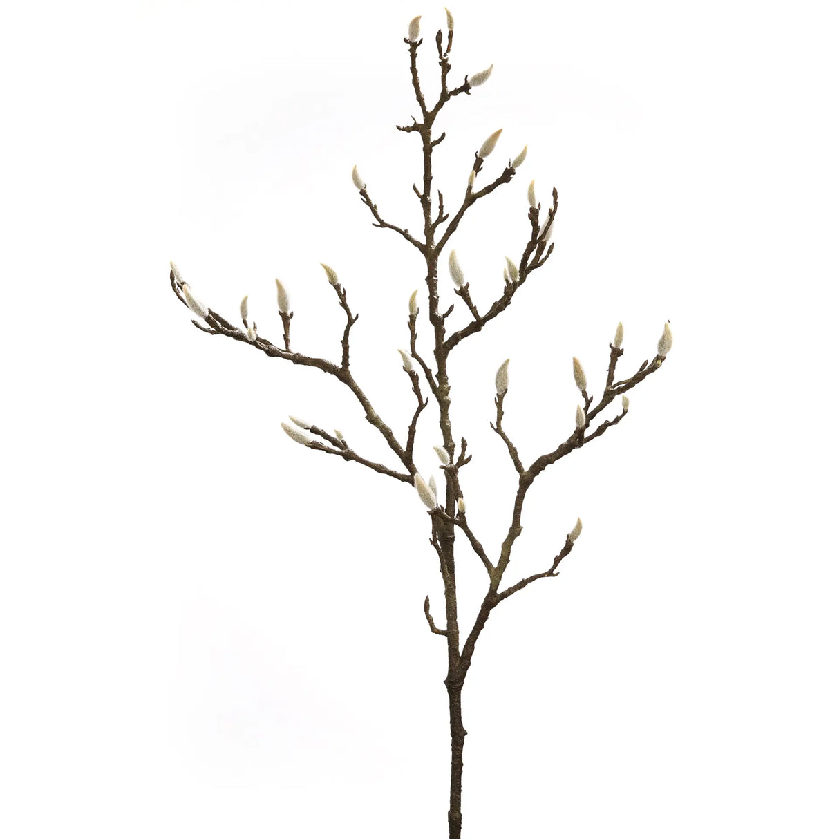 Künstliche Blume – Dunkler Ton, Feine Knospen, Naturnahe Form - Magnolienknospenzweig | Fink Living