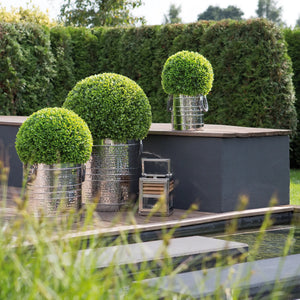 Buchskugel – Kunststoff, UV-Beständig, Wetterfest - Buxus | Fink Living