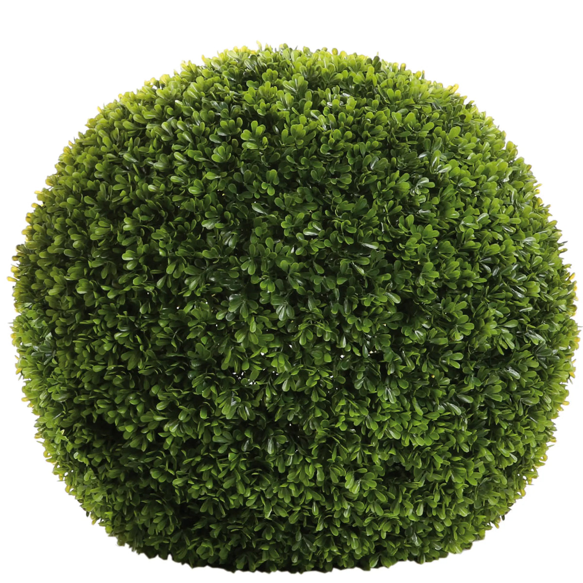 Buchskugel – Kunststoff, UV-Beständig, Wetterfest - Buxus | Fink Living