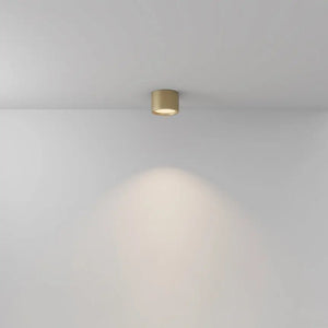 Ceiling light with matte gold finish integrated LED and IP44 protection – Hydra | Maytoni